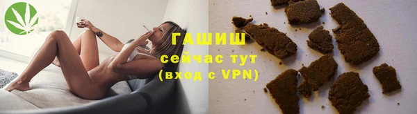 прущие грибы Верея